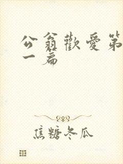 公翁欢爱第三十一篇
