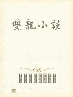 双龙小说