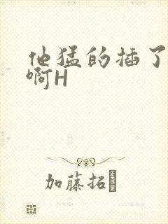 他猛的插了进去啊H