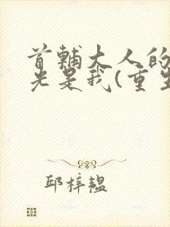 首辅大人的白月光是我(重生)