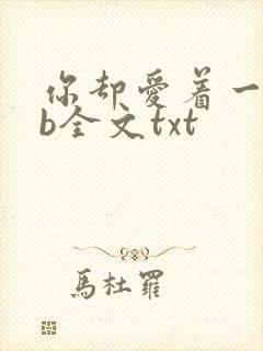 你却爱着一个sb全文txt封面