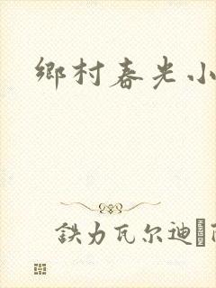 乡村春光小说