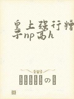 皇上强行糟蹋太子np高h封面