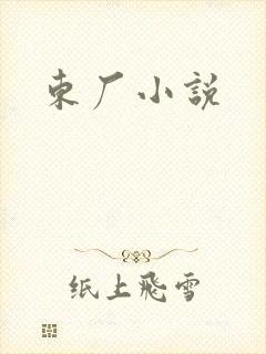 东厂小说
