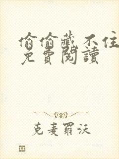 偷偷藏不住小说免费阅读