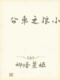 公车之狼小说