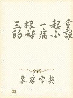 三根一起会坏掉的好痛小说