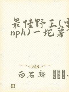 最佳野王(电竞nph)一坨薯饼