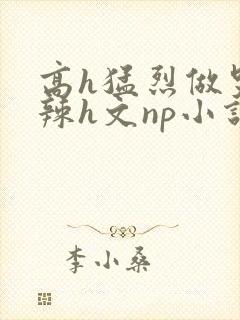 高h猛烈做哭高辣h文np小说