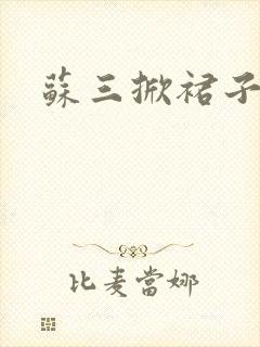 苏三掀裙子封面