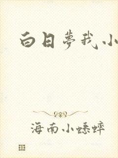 白日梦我小说