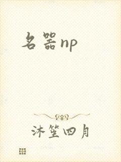 名器np