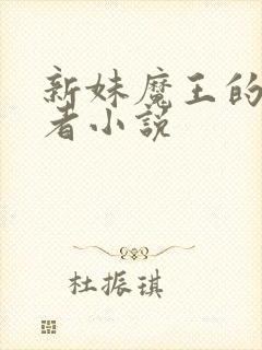 新妹魔王的契约者小说