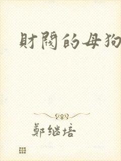 财阀的母狗们