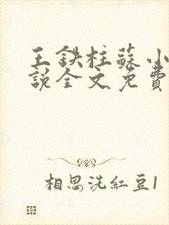 王铁柱苏小汐小说全文免费阅读最新章节封面