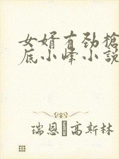 女婿有劲枪枪到底小峰小说