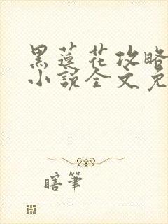 黑莲花攻略手册小说全文免费阅读笔趣阁封面