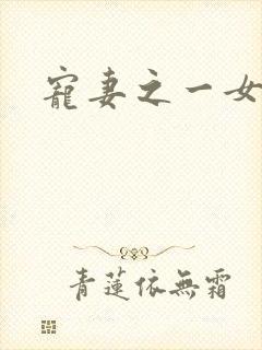 宠妻之一女二夫