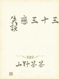 失恋三十三天小说