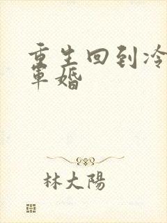 重生回到冷战前军婚