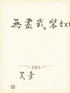无尽武装txt封面