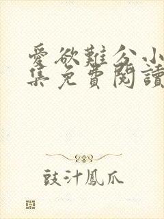 爱欲难分小说全集免费阅读封面