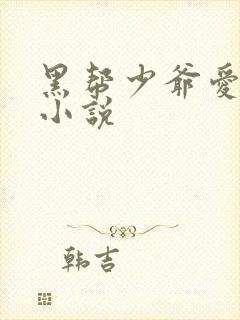 黑帮少爷爱上我小说