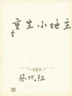 重生小地主txt