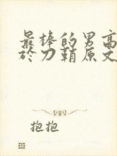 最棒的男高中生于刀鞘原文阅读封面