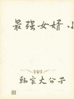 最强女婿 小说