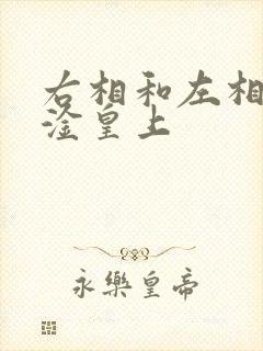 右相和左相一起淦皇上