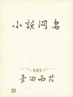 小说网名