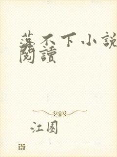 落不下小说免费阅读