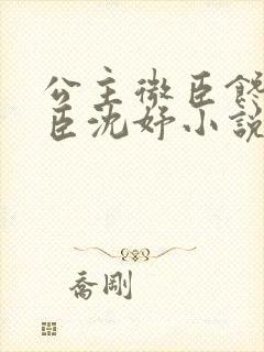 公主微臣馋了微臣沈妤小说