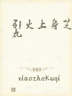 引火上身芝麻糖丸