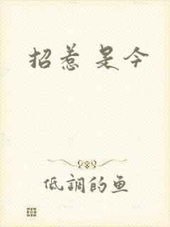 招惹 是今
