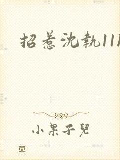 招惹沈执11h封面