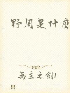 野周是什么意思