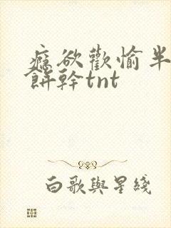 瘾欲欢愉半块小饼干tnt封面