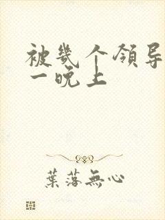 被几个领导玩弄一晚上