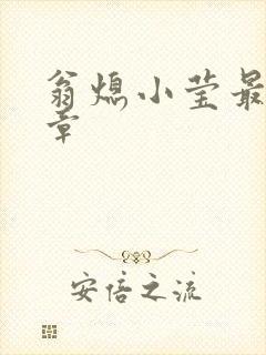 翁熄小莹最新节章
