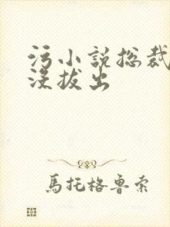 污小说总裁整夜没拔出