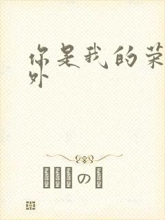 你是我的荣耀番外封面