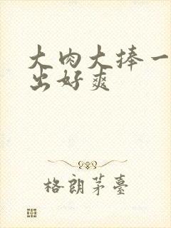 大肉大捧一进一出好爽封面