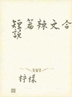 短篇辣文合集小说