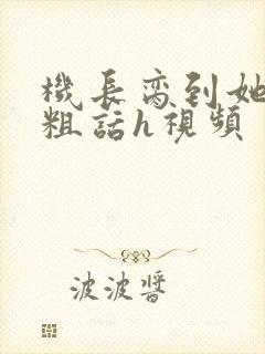 机长脔到她哭h粗话h视频