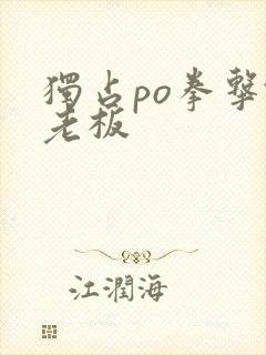 独占po拳击馆老板