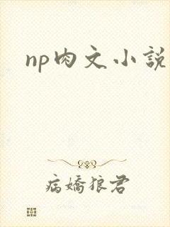 np肉文小说