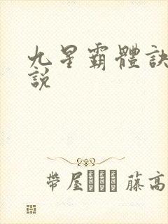 九星霸体诀 小说