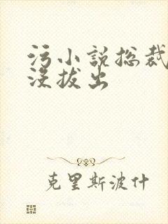 污小说总裁整夜没拔出